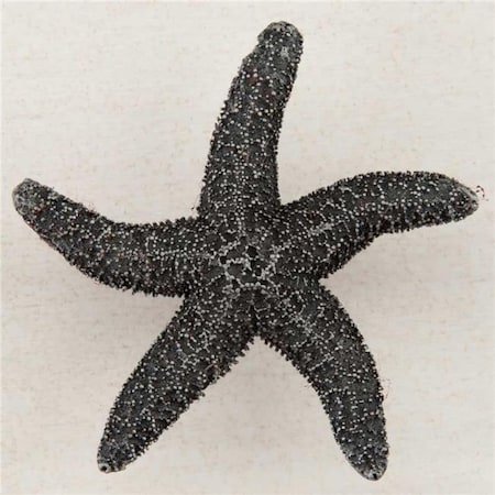 Acorn Mfg Acorn Manufacturing DPKPP Artisan Collection Natural Starfish Knob; Antique Pewter DPKPP